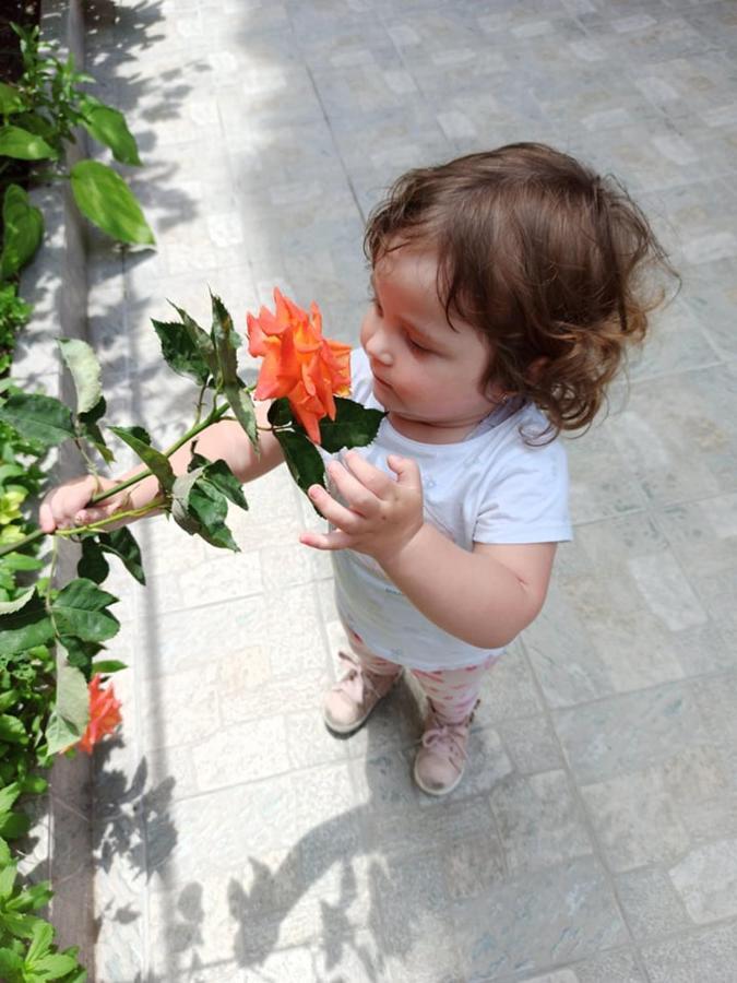 Guest House ,, Ekaterina" Νεσέμπαρ Εξωτερικό φωτογραφία